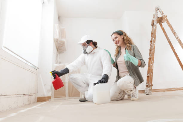 Best Black Mold Removal  in Beaver, OK